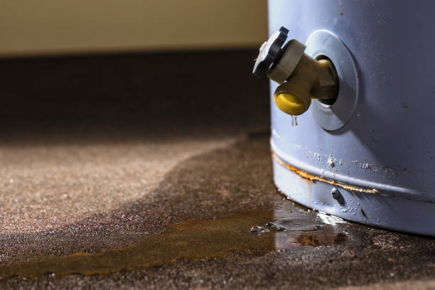 Best Water damage cleanup near me  in Hiram, OH