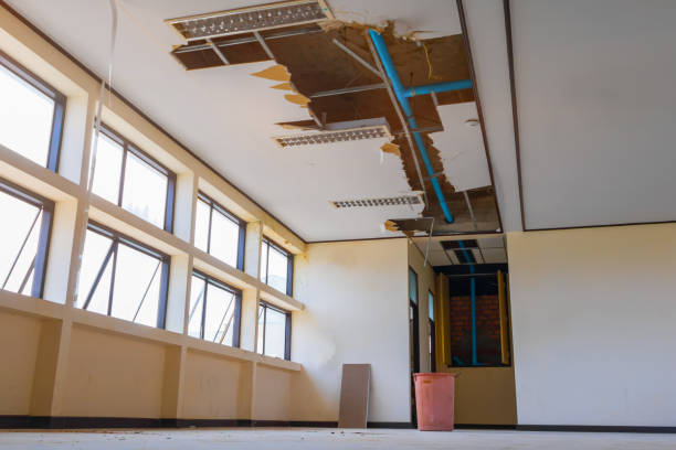 Best Carpet water damage restoration  in Hiram, OH