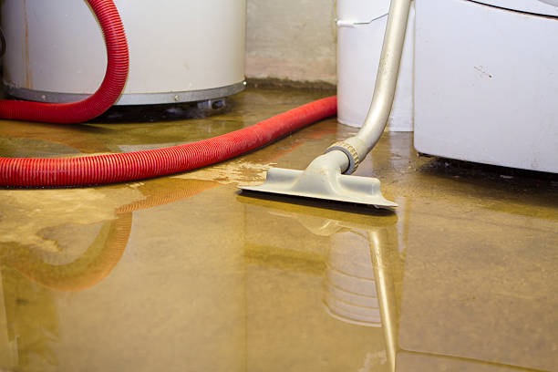 Best Flood damage cleanup  in Hiram, OH
