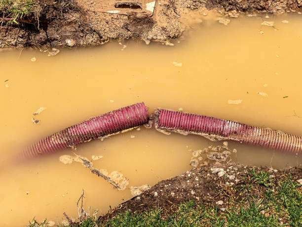  Hiram, OH Water damage restoration Pros
